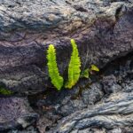 Resilience-Article-Image